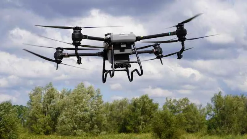 Çarşamba Ovası'nda ulaşımı zor tarım alanları dronla ilaçlanacak