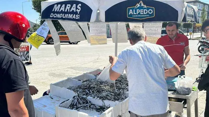 Düzce'de hamsi fiyatı 20 liraya kadar düştü