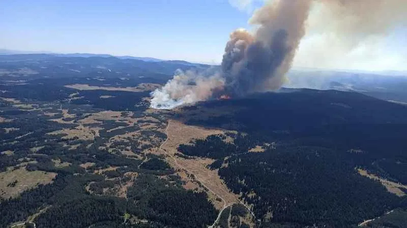 Bolu'da orman yangını !