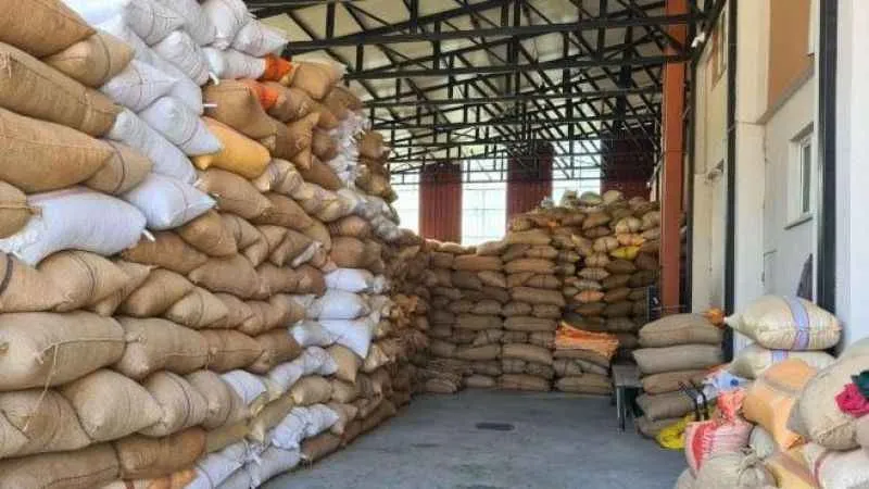 Fındık fiyatındaki artış üreticiyi sevindirdi