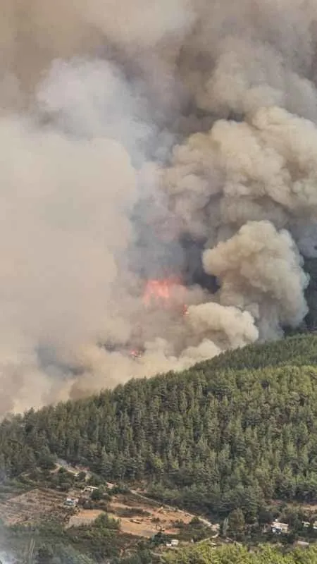 Alanya'daki orman yangını geniş bir alanda devam ediyor