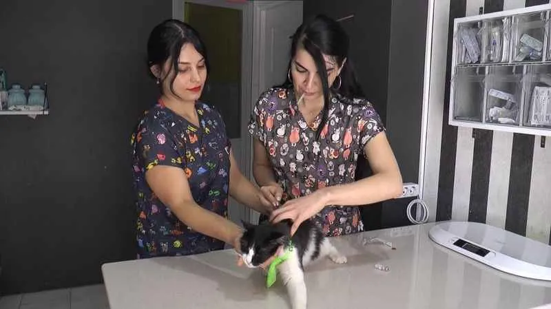 Türkiye kuduz için ‘en riskli ülkeler’ kategorisinde