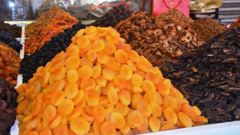 Depremin vurduğu Malatya’da kayısı yüz güldürüyor