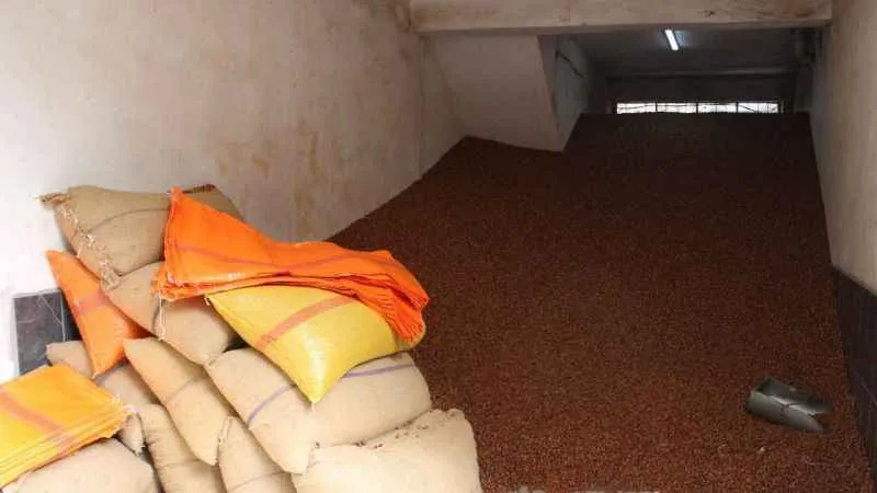 Serbest piyasada fındık 100 TL’ye ulaştı