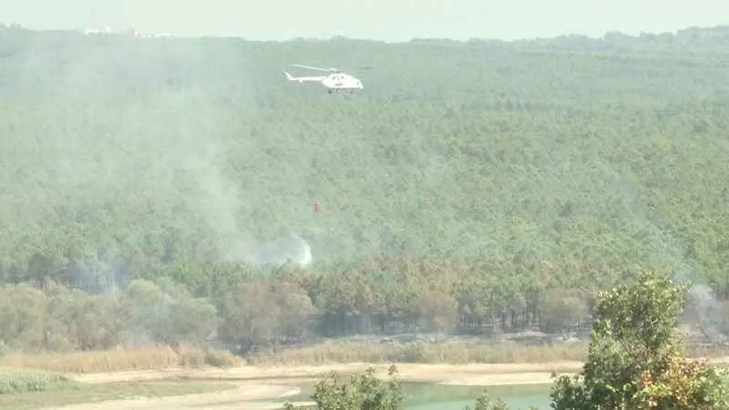 Arnavutköy’de ormanlık alanda çıkan yangın söndürüldü, 1 hektarlık alan zarar gördü
