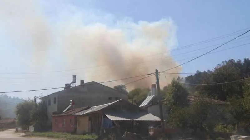Bilecik'te otluk alanda çıkan yangın ormana sıçramadan söndürüldü