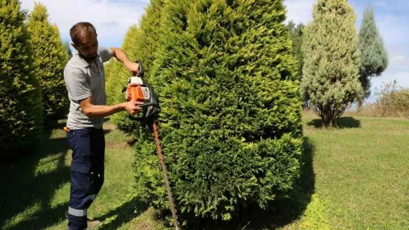 Kocaeli'de sonbahar hazırlığı