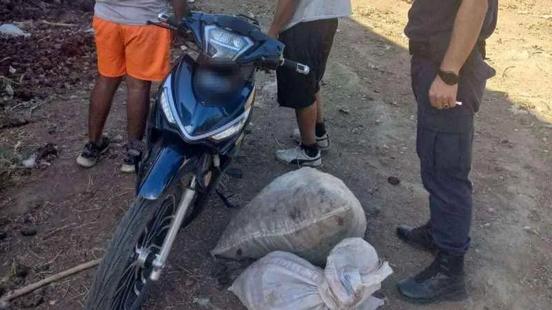 Jandarma incir hırsızlarına göz açtırmıyor