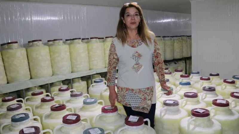 Van’ın otlu peynirine babasının ismini verdi