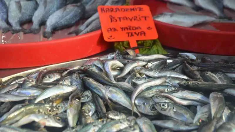 Marmara'da hamsi bolluğu fiyatları düşürdü, vatandaşlar hamsiye akın etti