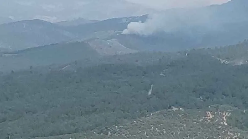 Manisa’da orman yangını