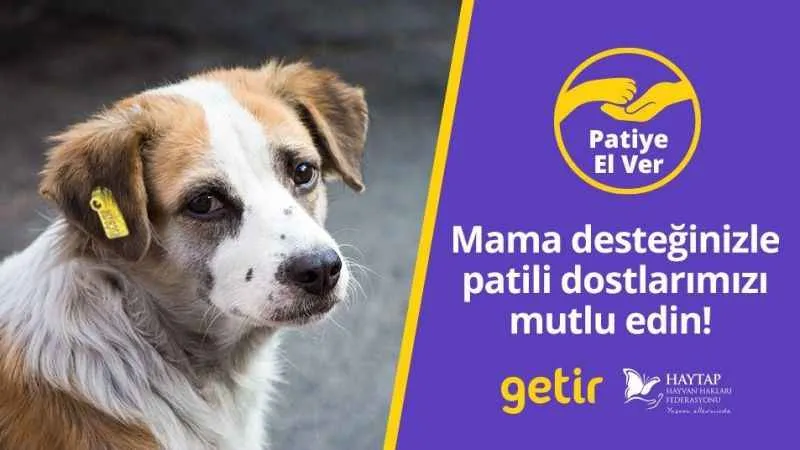 Getir’den hayvan barınaklarına 1,5 milyon kap mama