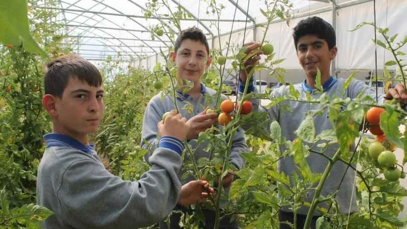 Geleceğin seracıları meslek liseliler kurdukları serada sebze meyve yetiştiriyor
