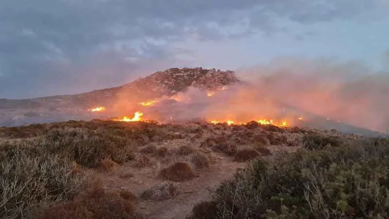Bodrum'daki yangında 60 dönümlük alan zarar gördü