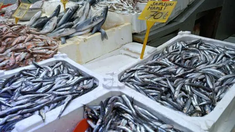 Havalar bozdu, hamsi 40 TL’den 70 TL’ye yükseldi