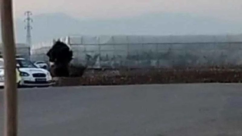 Sınır hattında bulunan el bombası ekipler tarafından patlatıldı