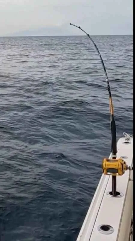 İzmir’de oltaya takılan orkinos 100 bin liralık oltayı götürdü