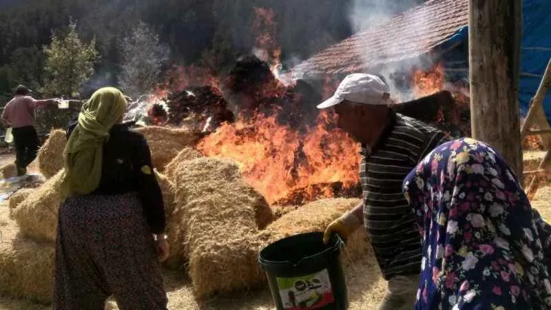 Çorum İskilip'te çıkan yangında 150 saman balyası kül oldu