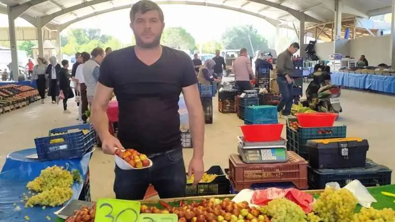 Hisarcık’ta fiyatı 30 TL’ye düşen şifa deposu hünnapa rağbet arttı