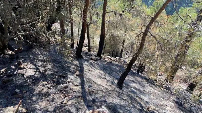 Karanlıkdere Kanyonu'nda çıkan yangın kontrol altına alındı