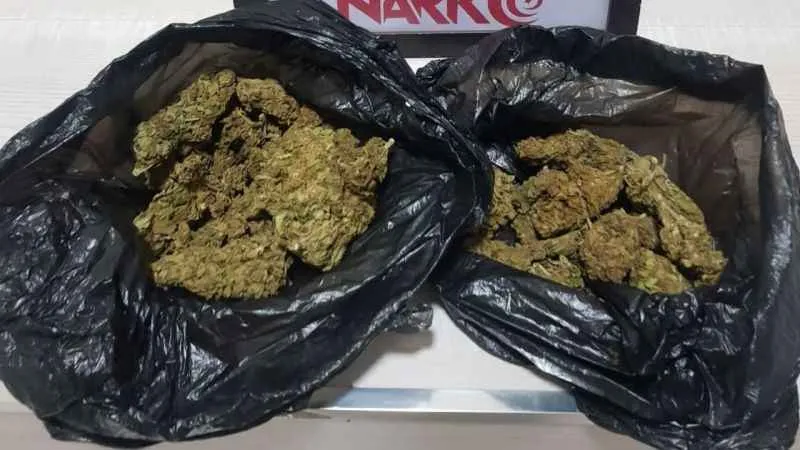 Erzincan’da 75.40 gram esrar ele geçirildi