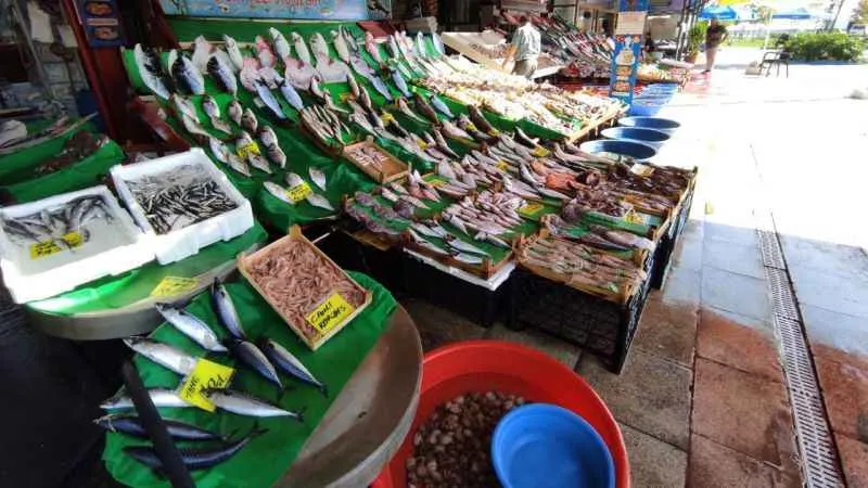 Balık tezgahlarında lüfer bolluğu: Fiyatı yarı yarıya düştü