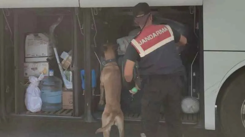 Aydın'da jandarma ekipleri düzensiz göçe geçit vermiyor