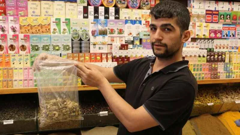 Birçok hastalığa iyi geldiği bilinen kış çayına rağbet arttı