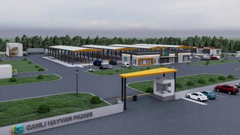 İç Anadolu'nun en büyük Canlı Hayvan Borsası Kayseri'de açılıyor