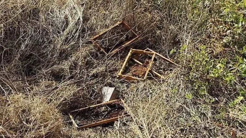 Kastamonu’da ayılar 10 arı kovanını parçaladı