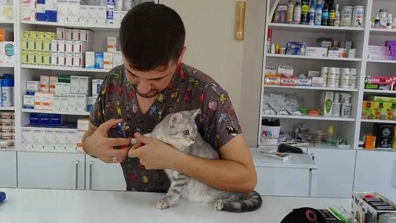 Evcil dostlarınız için bakım tavsiyeleri