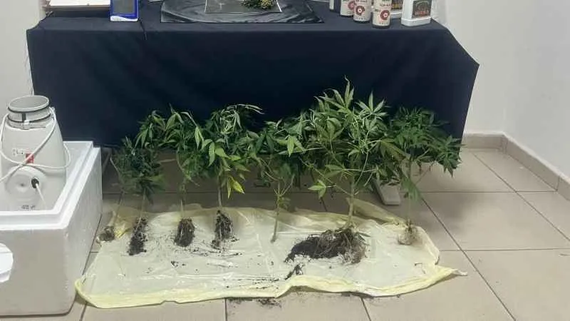 Karabük'te özel düzenekle uyuşturucu yetiştiren şahıs yakalandı