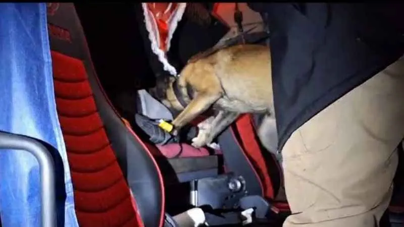 Narkotik köpeği 'Thor' tırdaki uyuşturucuyu böyle buldu