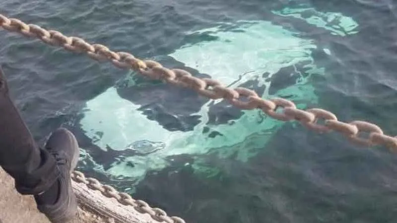 Kocaeli'de hafif ticari araç denize uçtu, sürücüyü balıkçılar kurtardı