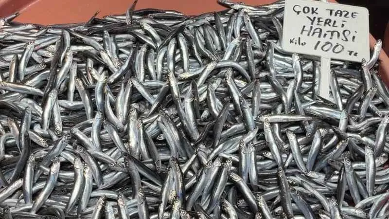 Fırtına hamsi fiyatlarını vurdu