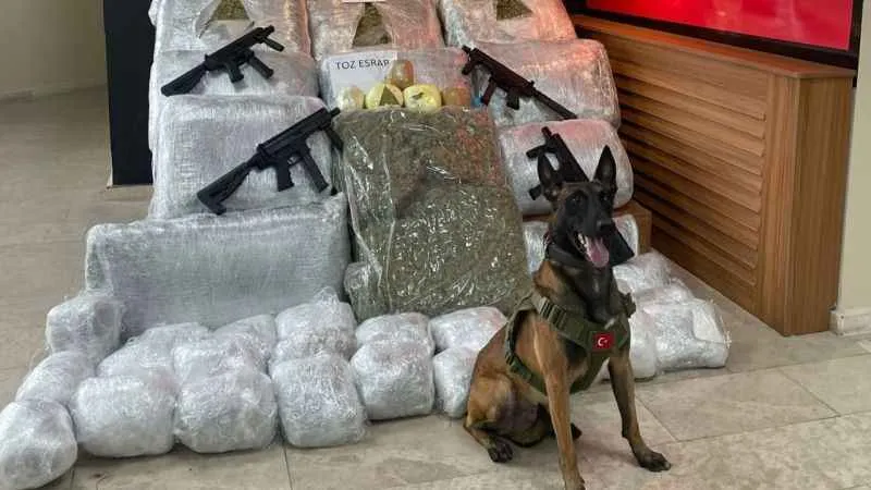 Şanlıurfa'da 170 kilo 700 gram skunk ele geçirildi