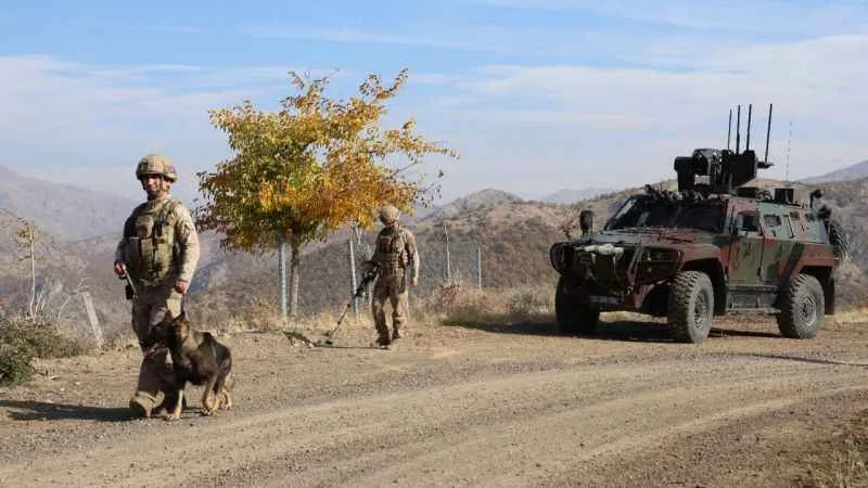 Lice'de terör operasyonu