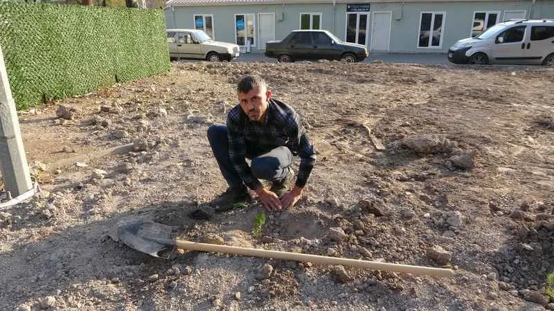 Kahramanmaraş'ta deprem şehitleri anısına 46 fidan dikildi