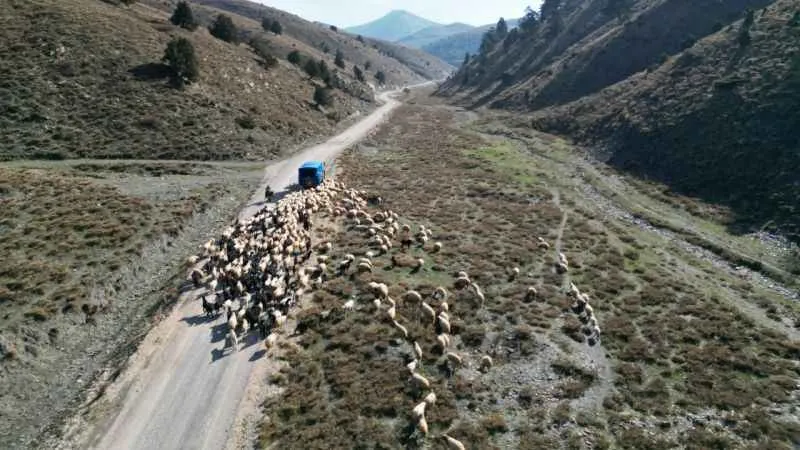 Konargöçerlerin kış öncesi zorlu göçü başladı