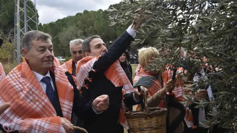 İzmir’de zeytin ve zeytinyağı sezonu açıldı