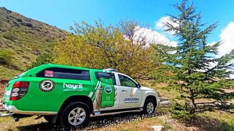 Durdurulan araçtan ölü kuşlar çıktı, araç sahibine 71 bin ceza yazıldı