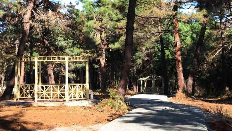 Çöp tesisi olacaktı, kent ormanı oluyor