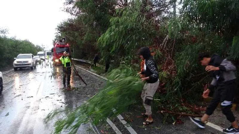 Antalya'da fırtına ağaçları devirdi, karayolunda trafik aksadı