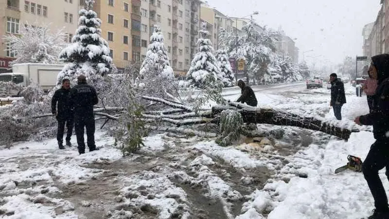 Erzurum'da kar esareti