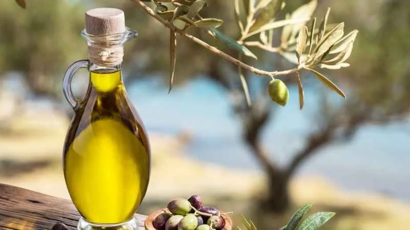 Zeytinyağı, İngiltere pazarında güçlenecek