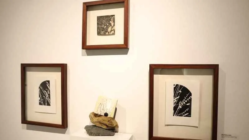  Misi’nin Florası genç sanatçıların eserlerinde