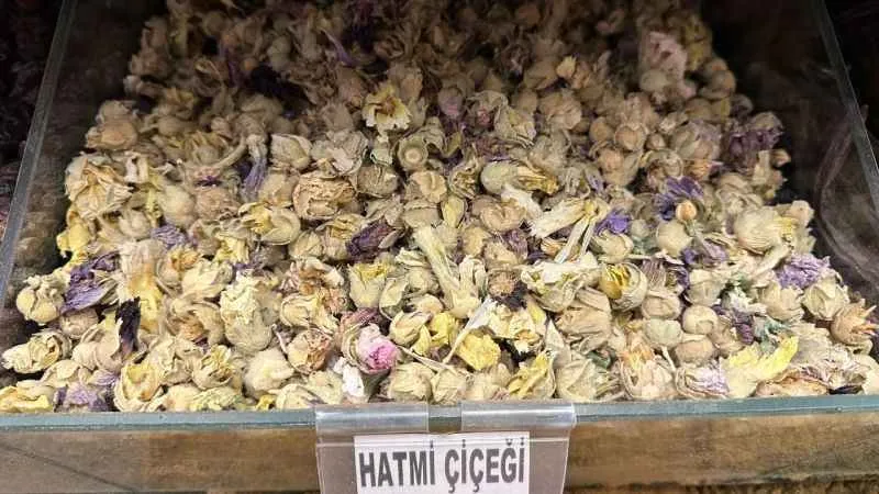 Salgınlar başladı, aktarlara rağbet arttı