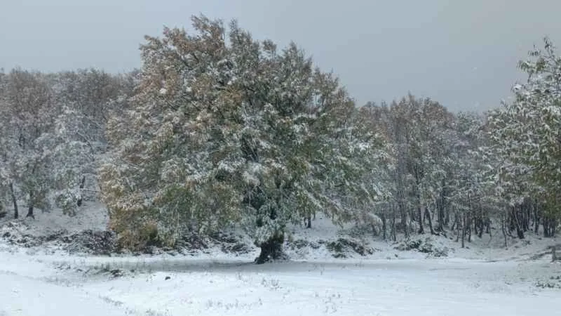 Lapseki’de Dumanlı Dağı'na mevsimin ilk karı yağdı