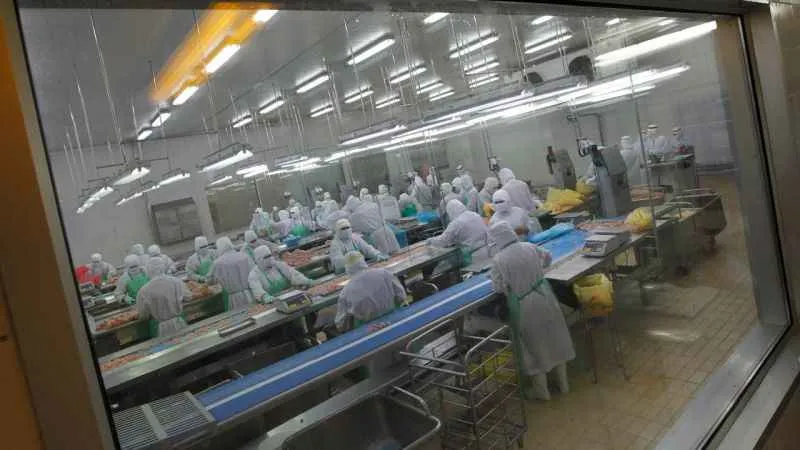 Japonya’da 72 bin kümes hayvanı itlaf edilecek