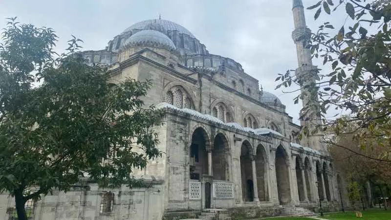 Osmanlı Dönemi'nden gelen Hayvan Hakları Beyannamesi